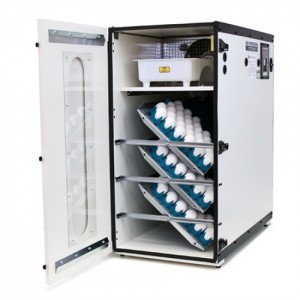 1500-digital-professional-cabinet-incubator